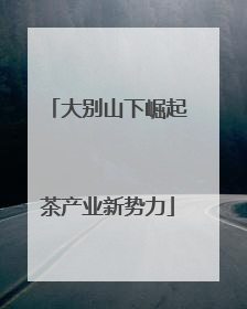大别山下崛起茶产业新势力