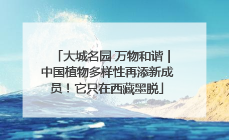 大城名园 万物和谐｜中国植物多样性再添新成员！它只在西藏墨脱