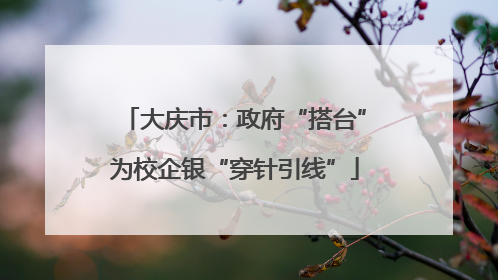 大庆市：政府“搭台”为校企银“穿针引线”