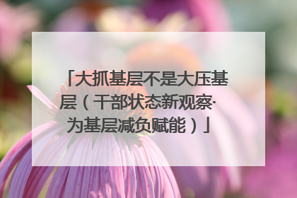 大抓基层不是大压基层（干部状态新观察·为基层减负赋能）