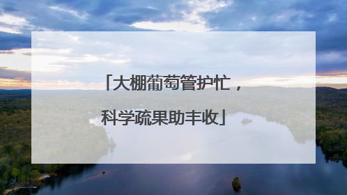 大棚葡萄管护忙，科学疏果助丰收