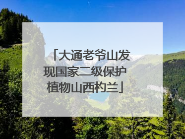 大通老爷山发现国家二级保护植物山西杓兰