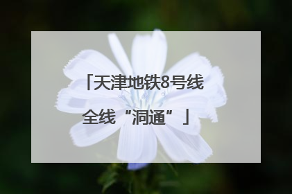 天津地铁8号线全线“洞通”