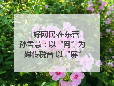 好网民·在东营｜孙雪慧：以“网”为媒传税音 以“屏”为介助发展