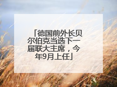 德国前外长贝尔伯克当选下一届联大主席，今年9月上任