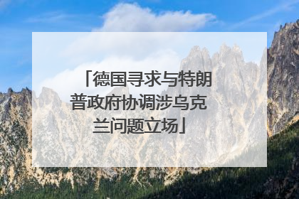 德国寻求与特朗普政府协调涉乌克兰问题立场