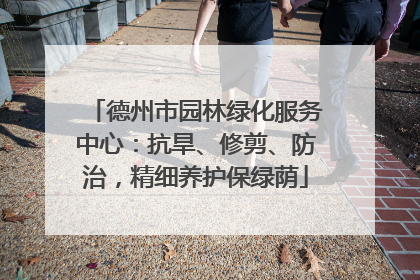德州市园林绿化服务中心：抗旱、修剪、防治，精细养护保绿荫