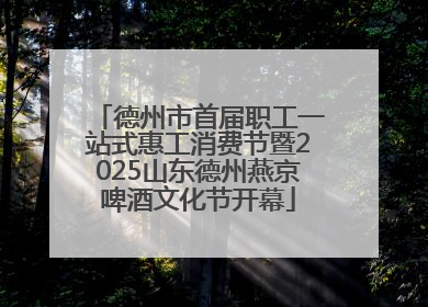 德州市首届职工一站式惠工消费节暨2025山东德州燕京啤酒文化节开幕