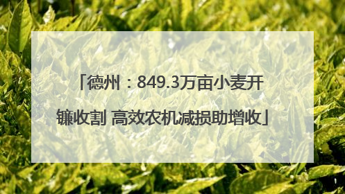 德州：849.3万亩小麦开镰收割 高效农机减损助增收