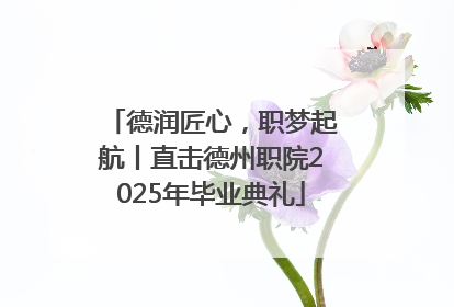 德润匠心，职梦起航丨直击德州职院2025年毕业典礼