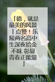 德，就是最美的风景丨点赞！乐陵两名高中生深夜拾金不昧 彰显青春正能量