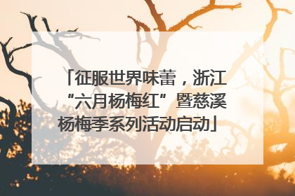 征服世界味蕾，浙江“六月杨梅红”暨慈溪杨梅季系列活动启动
