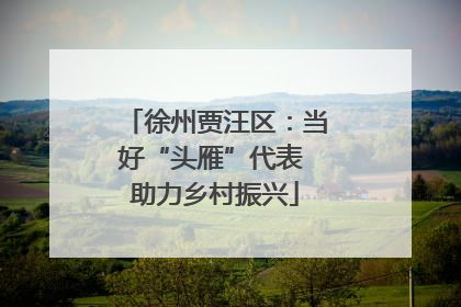 徐州贾汪区：当好“头雁”代表 助力乡村振兴