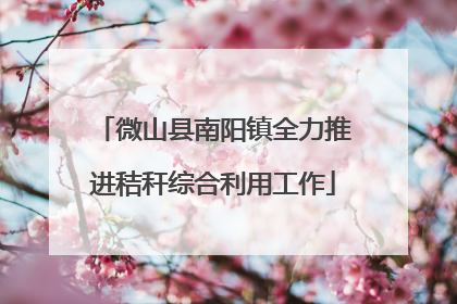 微山县南阳镇全力推进秸秆综合利用工作