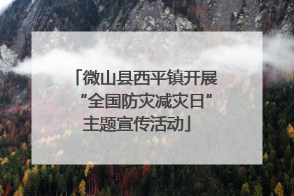 微山县西平镇开展“全国防灾减灾日”主题宣传活动