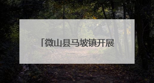 微山县马坡镇开展“倡导移风易俗 树立文明新风”移风易俗宣传活动
