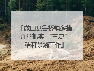 微山县鲁桥镇多措并举抓实 “三夏” 秸秆禁烧工作