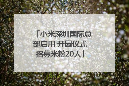 小米深圳国际总部启用 开园仪式招募米粉20人