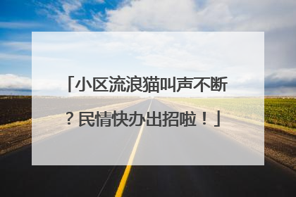 小区流浪猫叫声不断？民情快办出招啦！