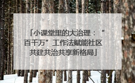 小课堂里的大治理：“百千万”工作法赋能社区共建共治共享新格局