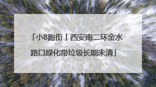 小8跑街丨西安南二环金水路口绿化带垃圾长期未清