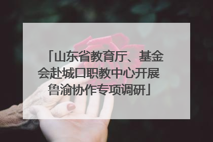 山东省教育厅、基金会赴城口职教中心开展鲁渝协作专项调研