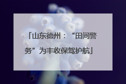 山东德州：“田间警务”为丰收保驾护航