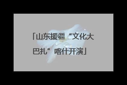 山东援疆“文化大巴扎”喀什开演