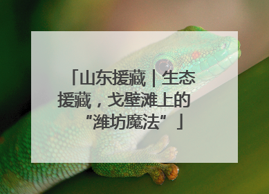 山东援藏｜生态援藏，戈壁滩上的“潍坊魔法”