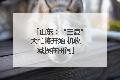 山东：“三夏”大忙将开始 机收减损在田间