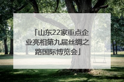 山东22家重点企业亮相第九届丝绸之路国际博览会