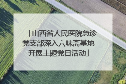 山西省人民医院急诊党支部深入六味斋基地开展主题党日活动