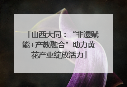山西大同：“非遗赋能+产教融合”助力黄花产业绽放活力
