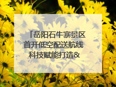 岳阳石牛寨景区首开低空配送航线 科技赋能打造"空中便利店"