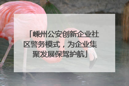 嵊州公安创新企业社区警务模式，为企业集聚发展保驾护航