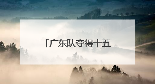 广东队夺得十五运会群众七人足球赛佛山赛区首金