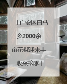 广安区白马乡2000余亩花椒迎来丰收采摘季