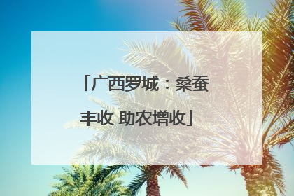 广西罗城：桑蚕丰收 助农增收