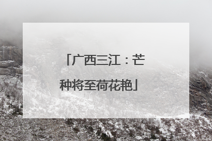 广西三江：芒种将至荷花艳