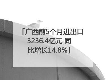 广西前5个月进出口3236.4亿元 同比增长14.8%