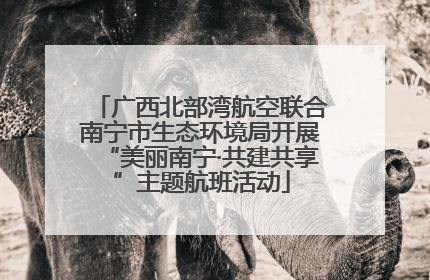 广西北部湾航空联合南宁市生态环境局开展“美丽南宁·共建共享”主题航班活动