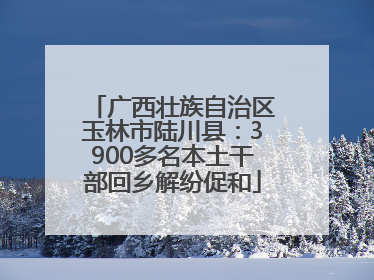 广西壮族自治区玉林市陆川县：3900多名本土干部回乡解纷促和