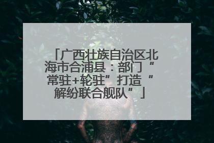 广西壮族自治区北海市合浦县：部门“常驻+轮驻”打造“解纷联合舰队”