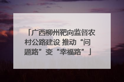 广西柳州靶向监督农村公路建设 推动“问题路”变“幸福路”