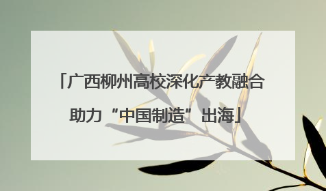 广西柳州高校深化产教融合 助力“中国制造”出海