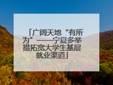 广阔天地“有所为”——宁夏多举措拓宽大学生基层就业渠道