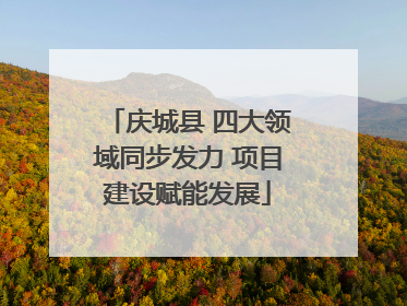 庆城县 四大领域同步发力 项目建设赋能发展