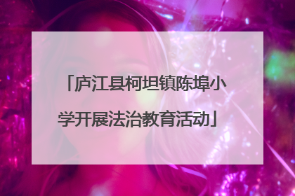 庐江县柯坦镇陈埠小学开展法治教育活动