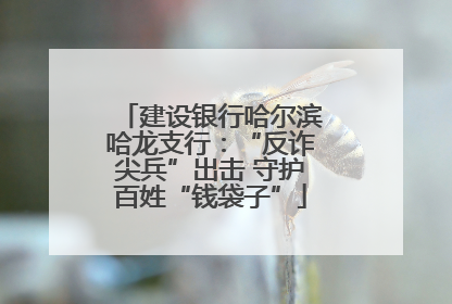建设银行哈尔滨哈龙支行：“反诈尖兵”出击 守护百姓“钱袋子”