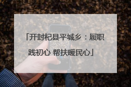 开封杞县平城乡：履职践初心 帮扶暖民心